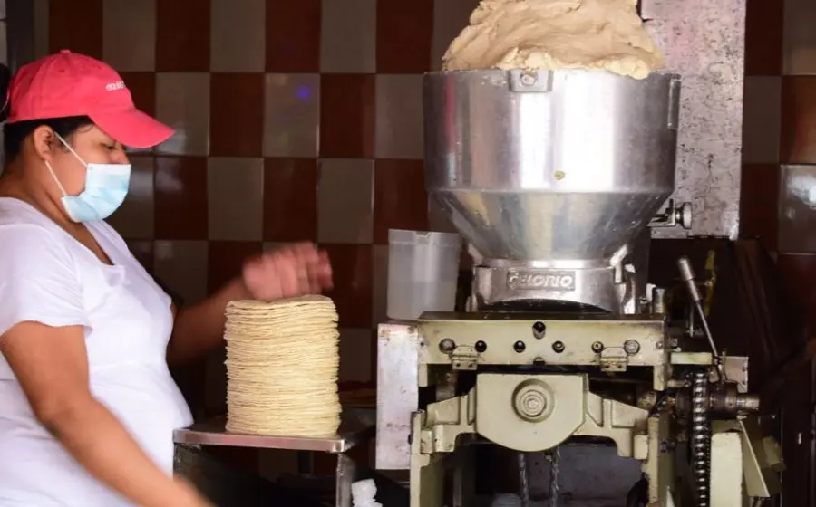 tortilleria