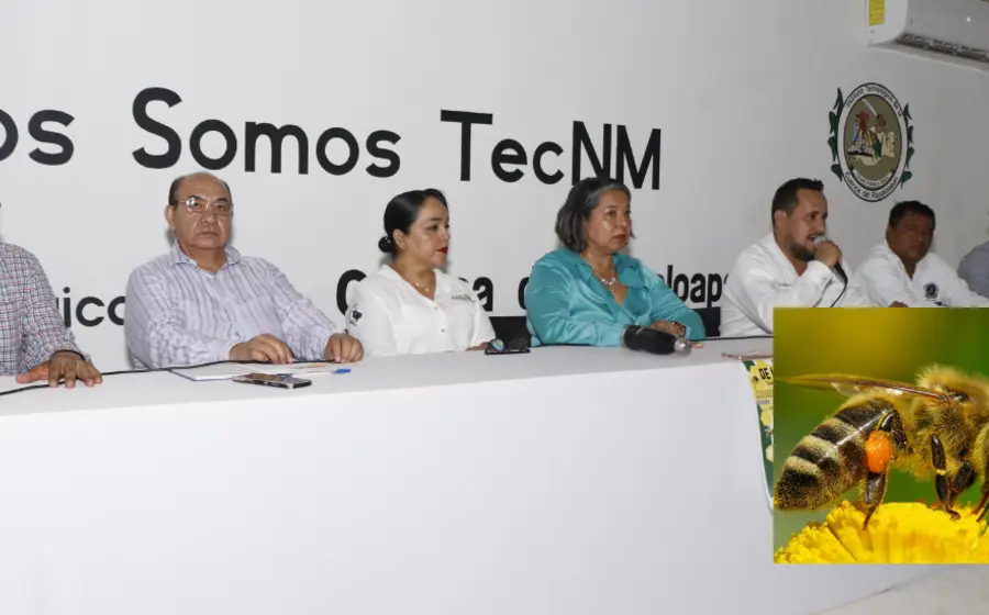 abejas5
