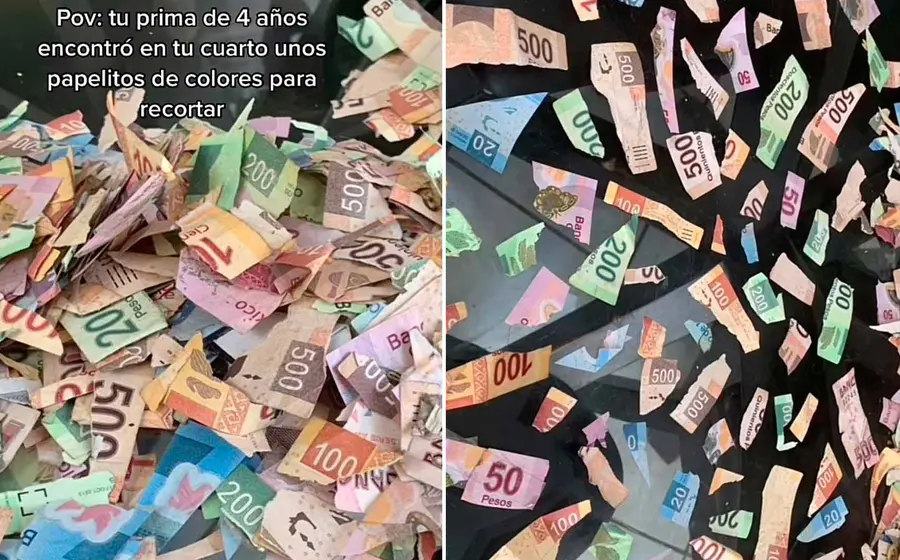 billetes-cortados 
