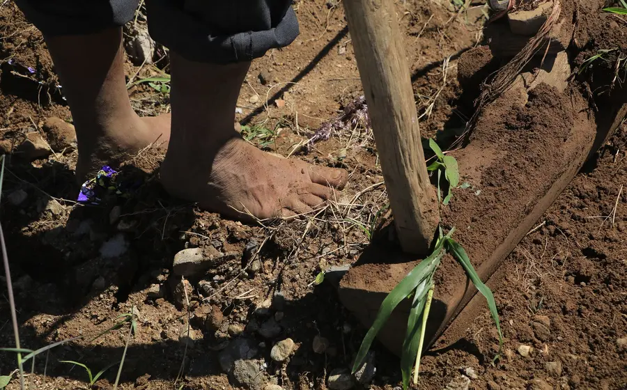 abandonan_tierras_agricolas_en_oaxaca