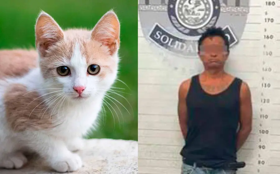 hombre-detenido-gato