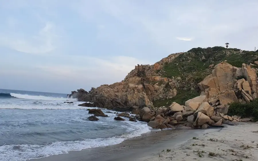 el-coyul2