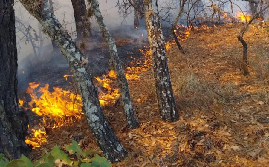 incendios