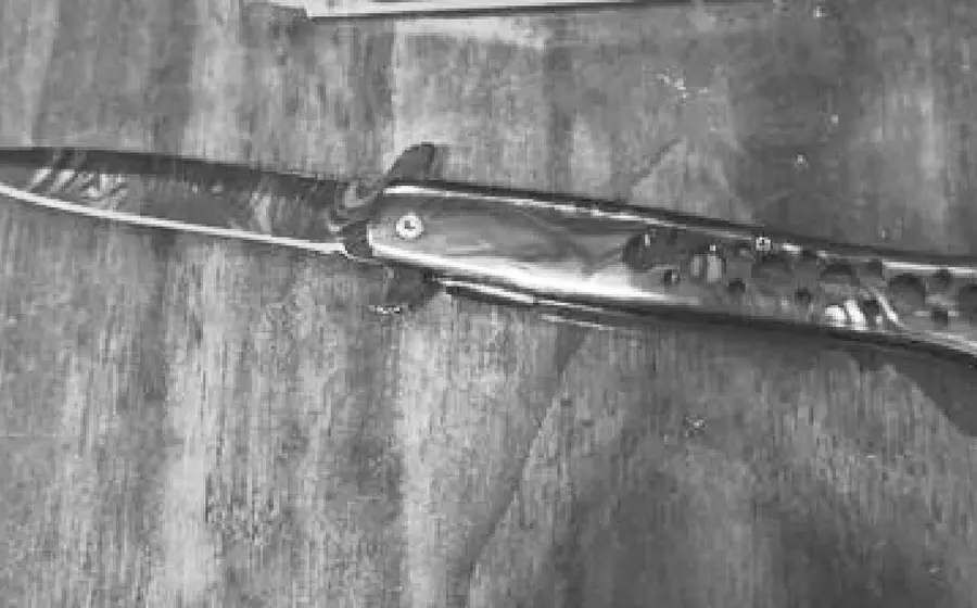 cuchillo