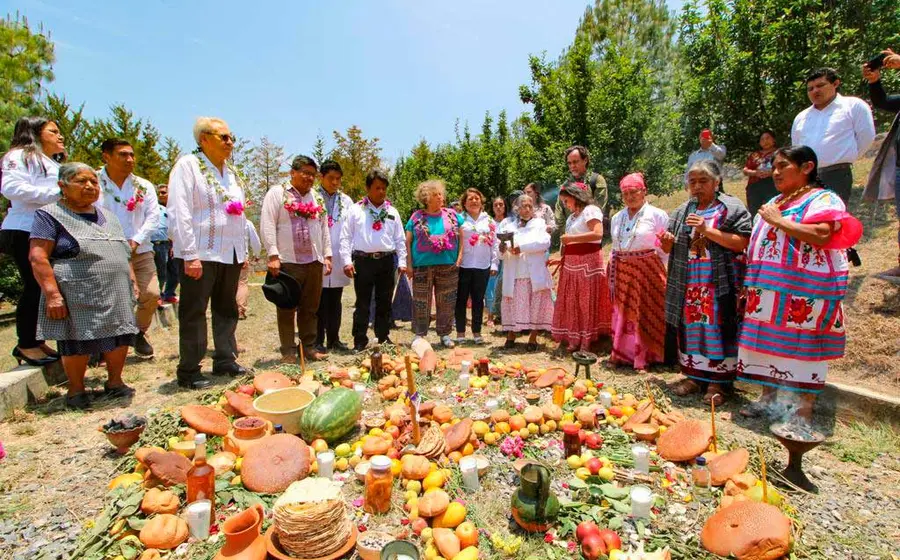 frutas 