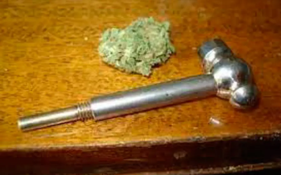 cannabis 