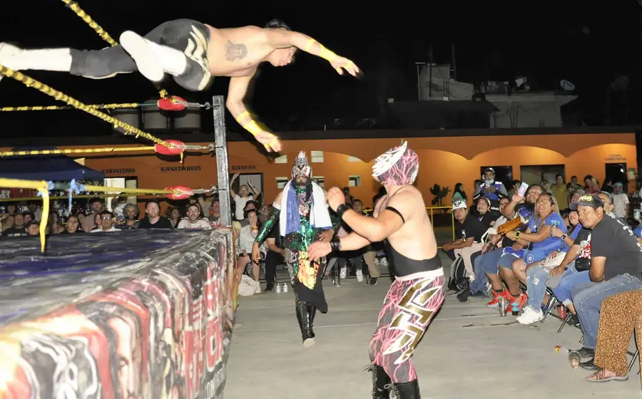 lucha 