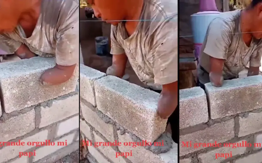 papa-albañil
