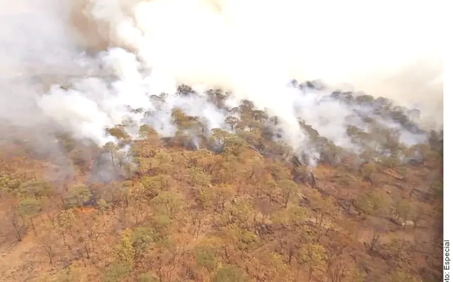 bosque_ardiendo