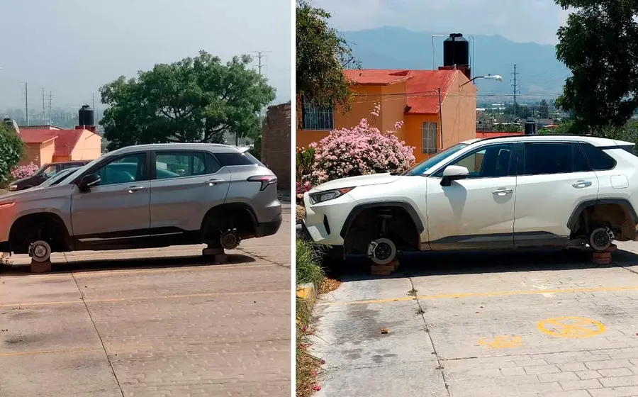 camionetas 