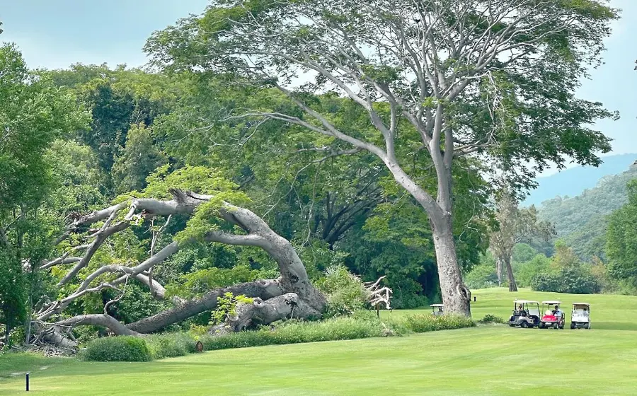 Portada-campo-de-golf