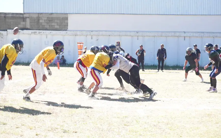 aguilas-oaxaca