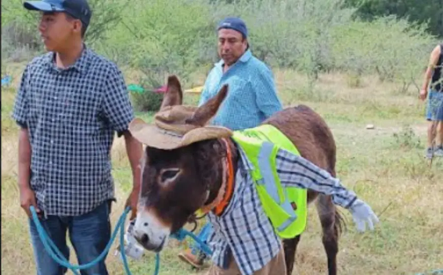 primera_carrera_burros_xochixtlapilco_oaxaca