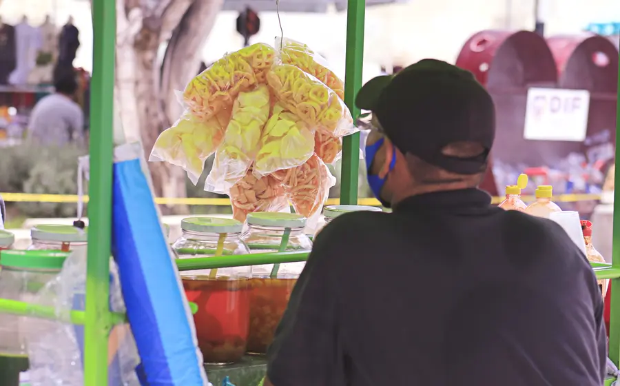 comida-oaxaca