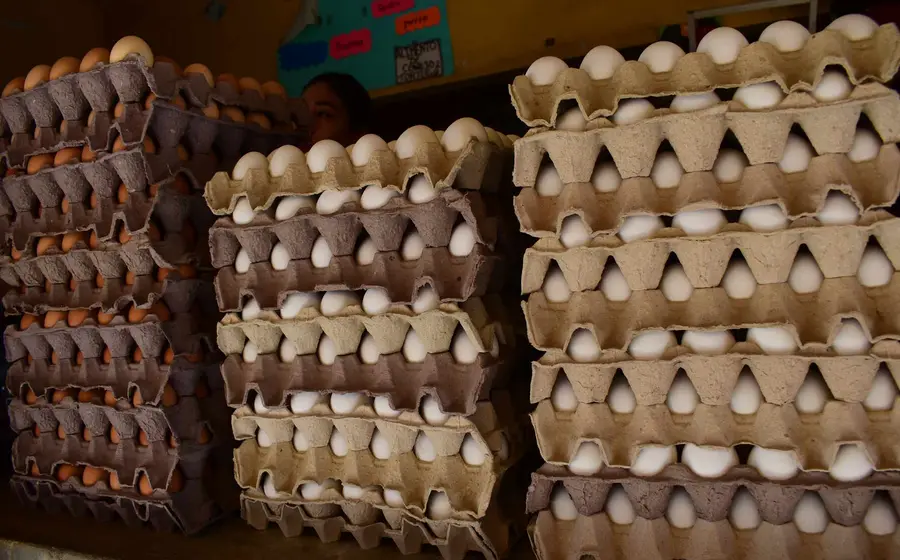 huevos