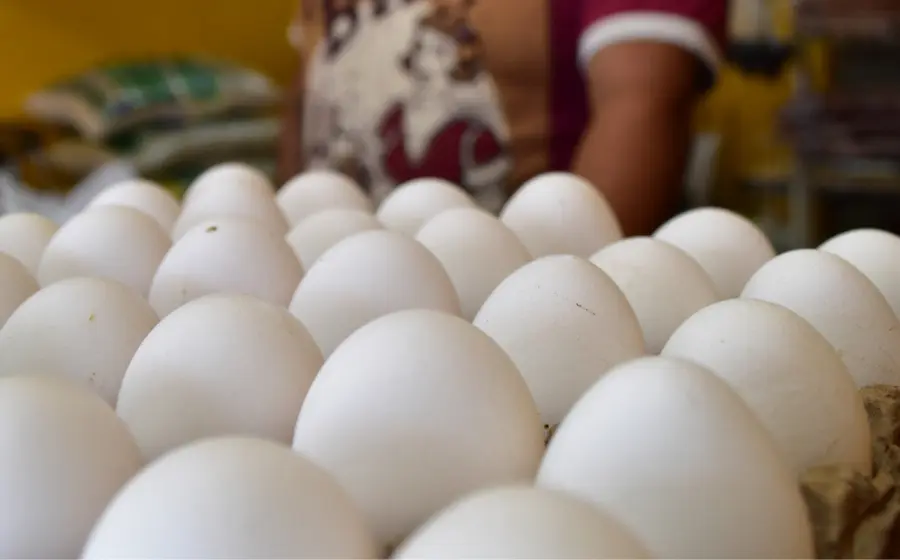 huevos