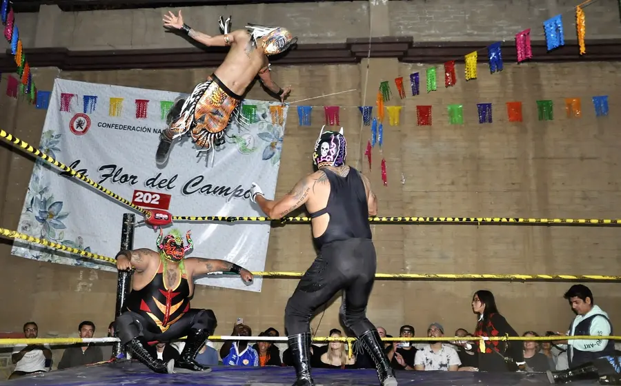 lucha-libre