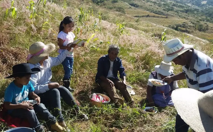 niños-mixteca-libros7