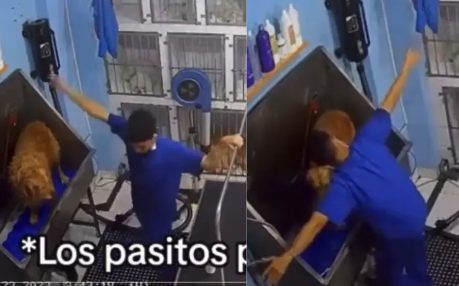 empleado_baila_con_lomito_veterinaria