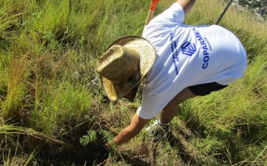 COPARMEX