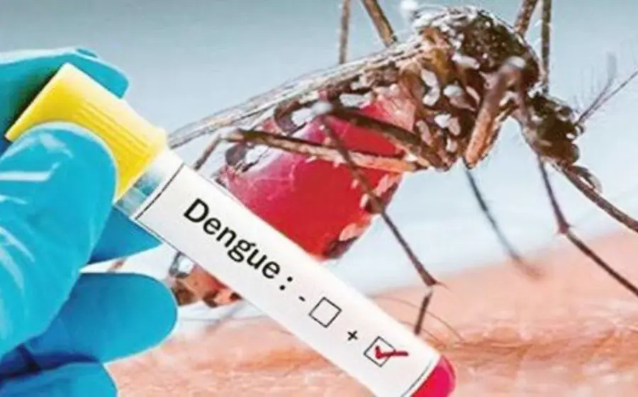 Dengue