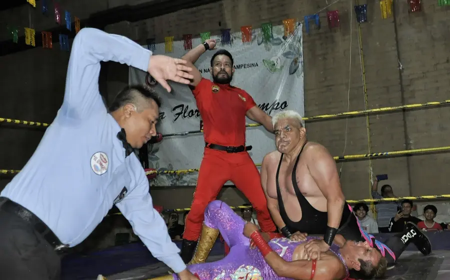 Luchas