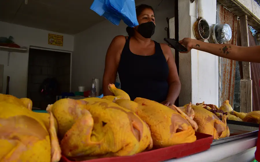 Pollo