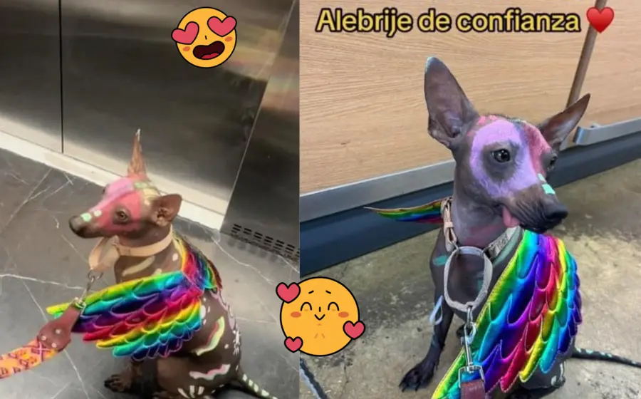 azul-xolo-alebrije (1)