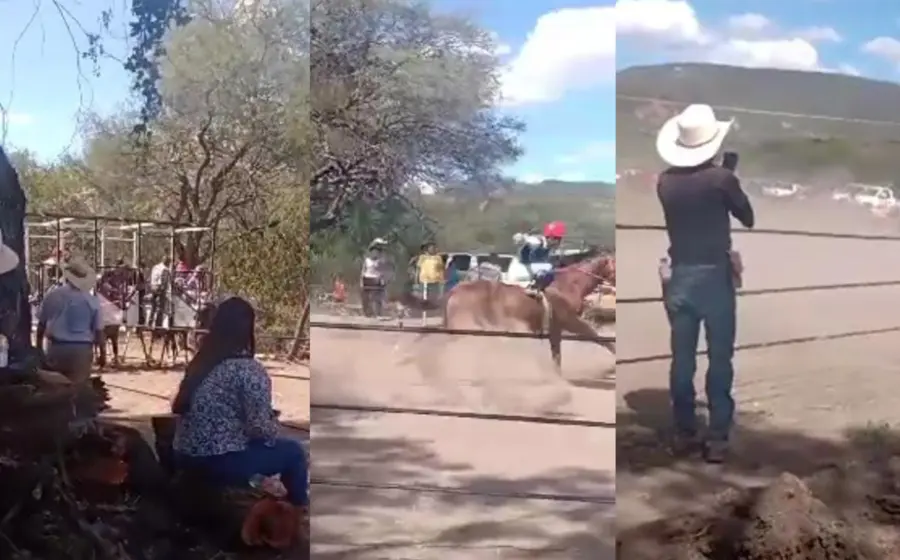 caballo-accidente4