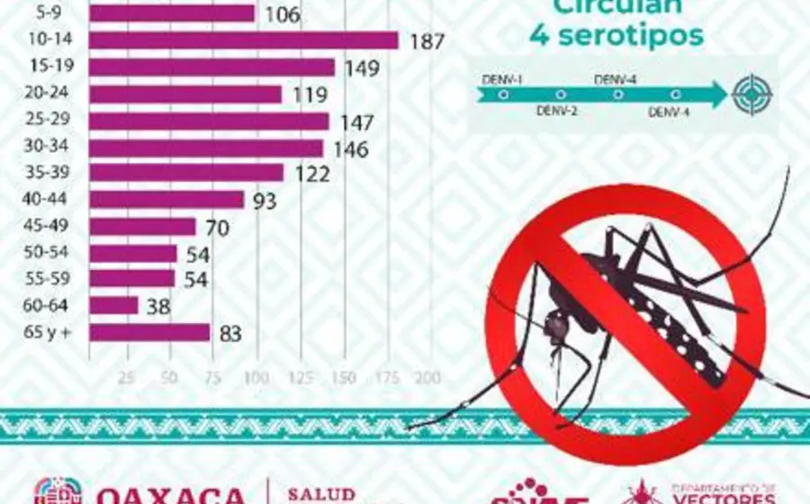 dengue-casos-oaxaca