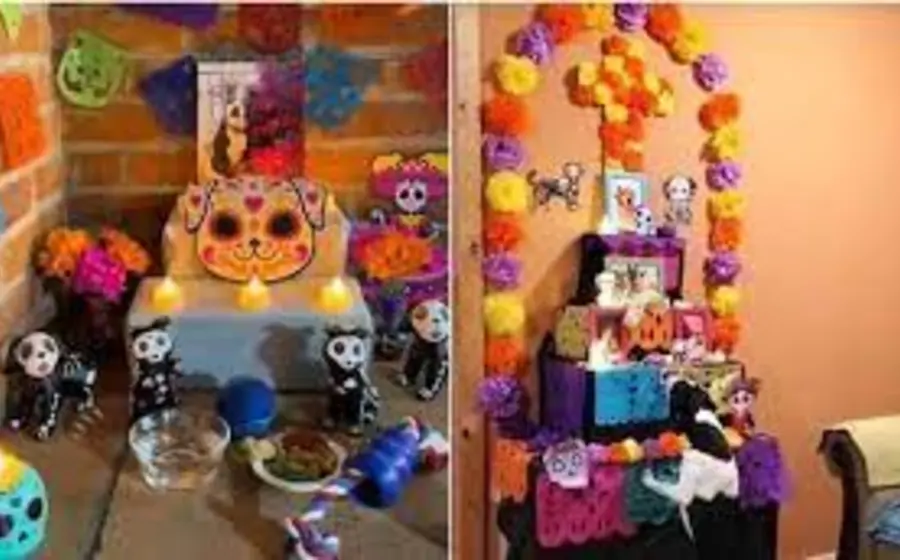 ofrendas_para_mascotas_dia_muertos