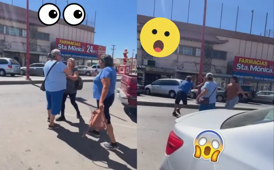 pelea-doñitas