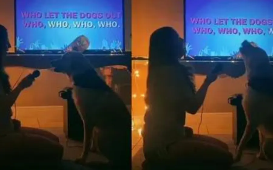 perrita_canta_karaoke_con_humana