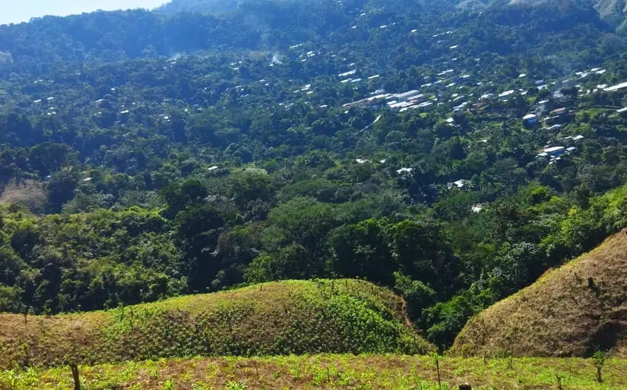 Lugar de los hechos