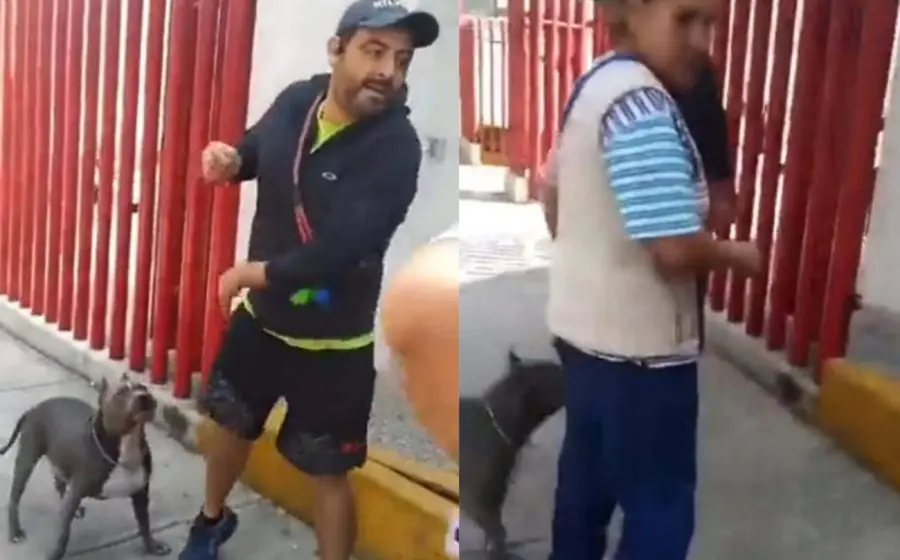 golpea_a_mujer_paseaba_pitbull