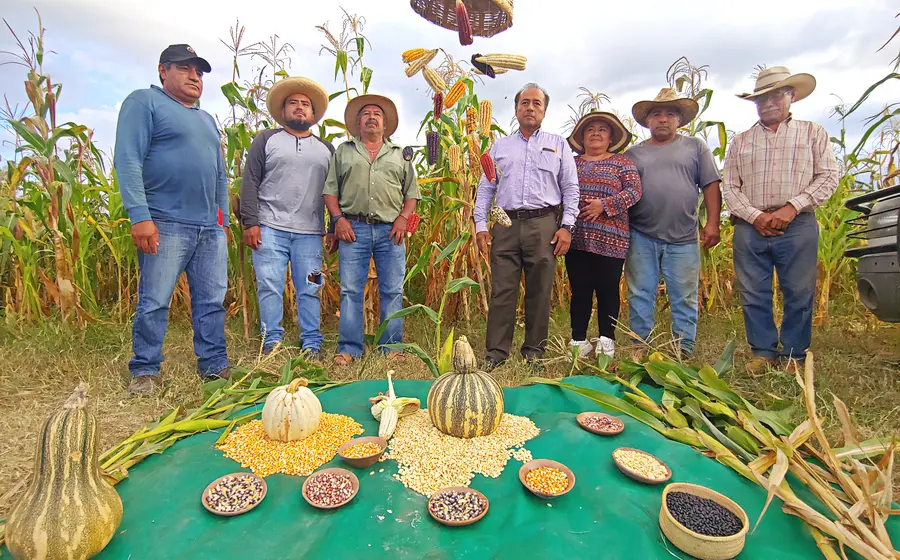 productores_magdalena_apasco