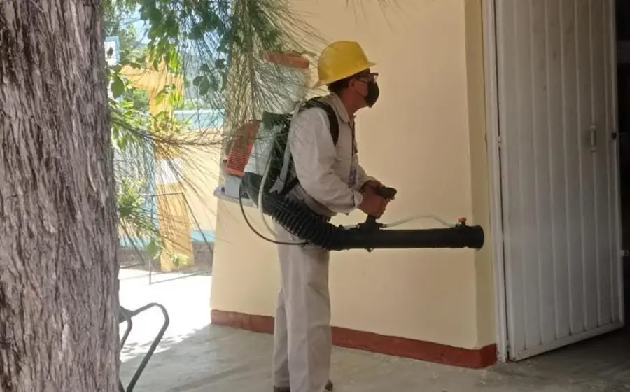 Dengue