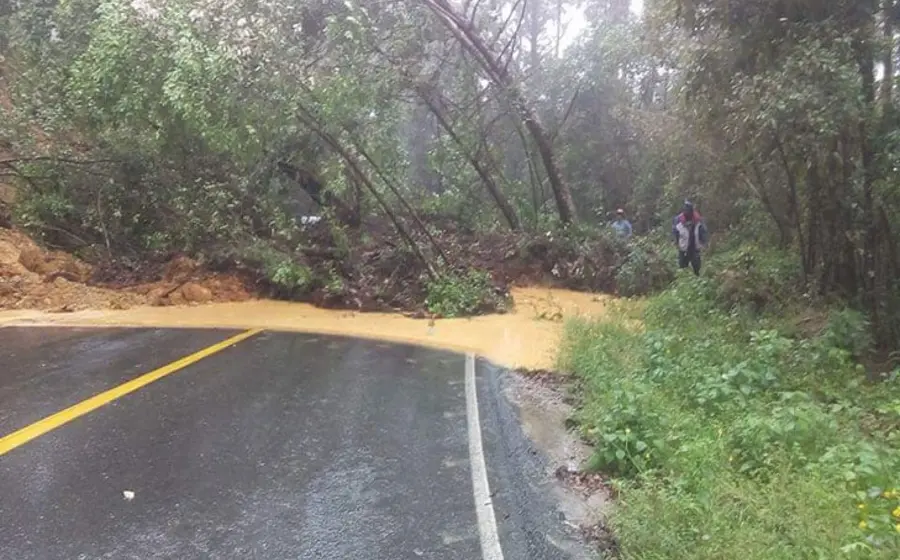 carretera175
