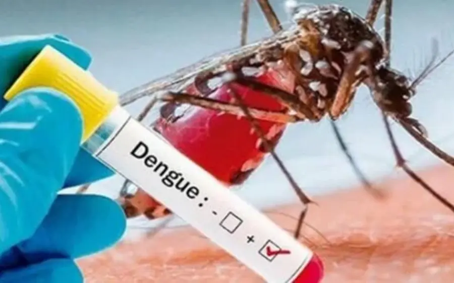 dengue