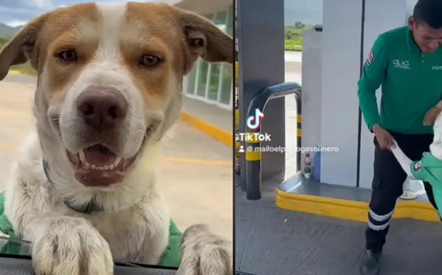 mailo_lomito_gasolinero_oaxaca