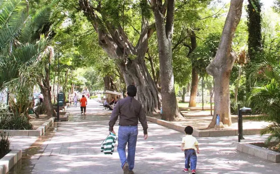 llano-oaxaca