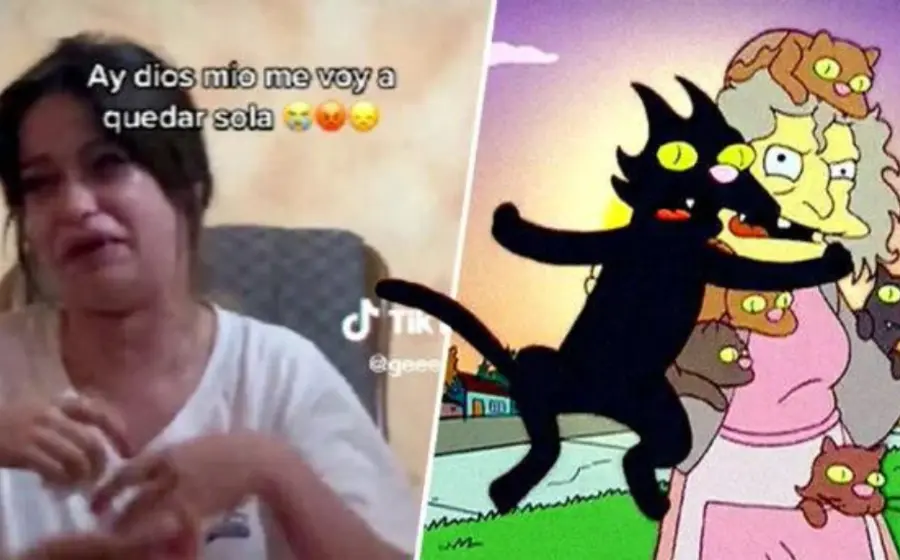 mujer_sin_novio_vivira_con_gatos