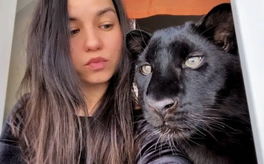 adopta_pantera_creyendo_que_era_gato