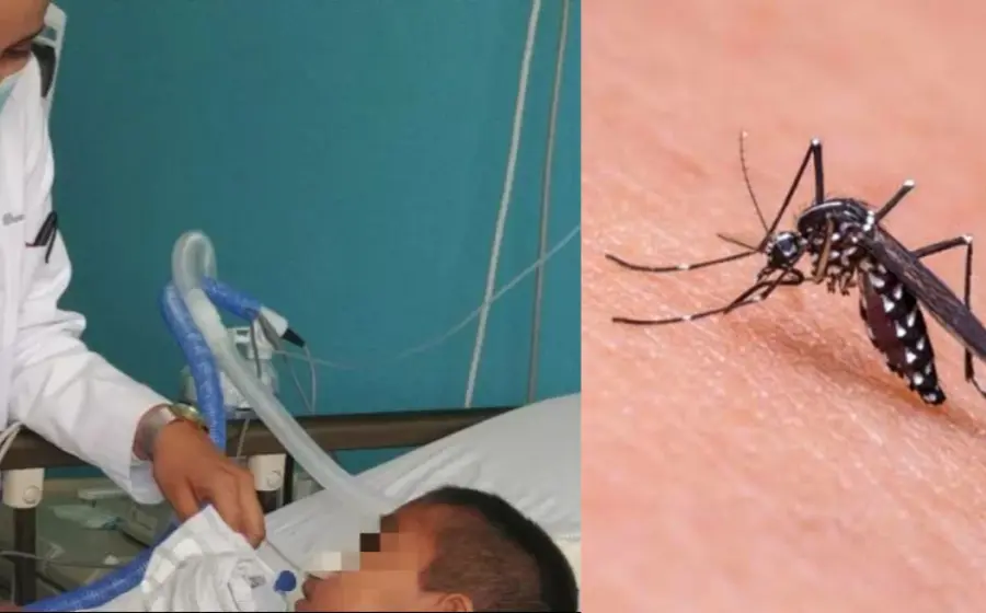 Dengue
