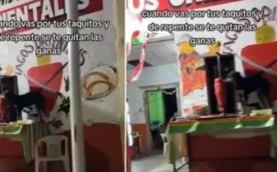 perrito_come_de_trompo_de_carne
