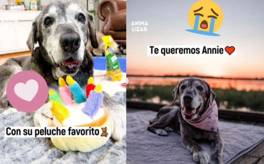 annie-portada
