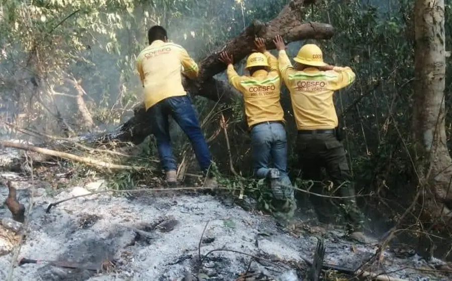 brigada-incendio-pinotepa-don-luis2