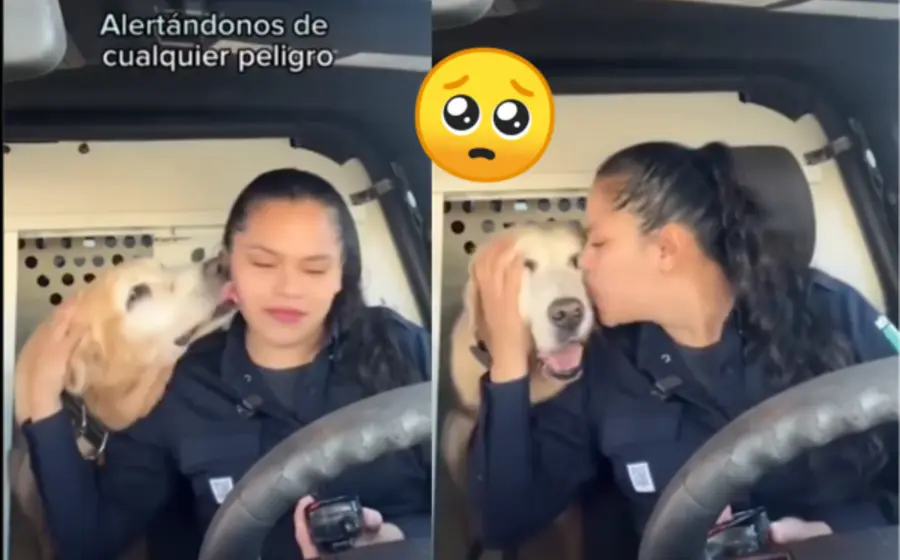 bubu-perro-portada