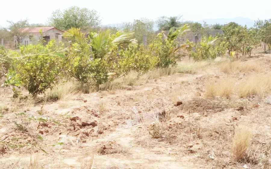 campo-oaxaca