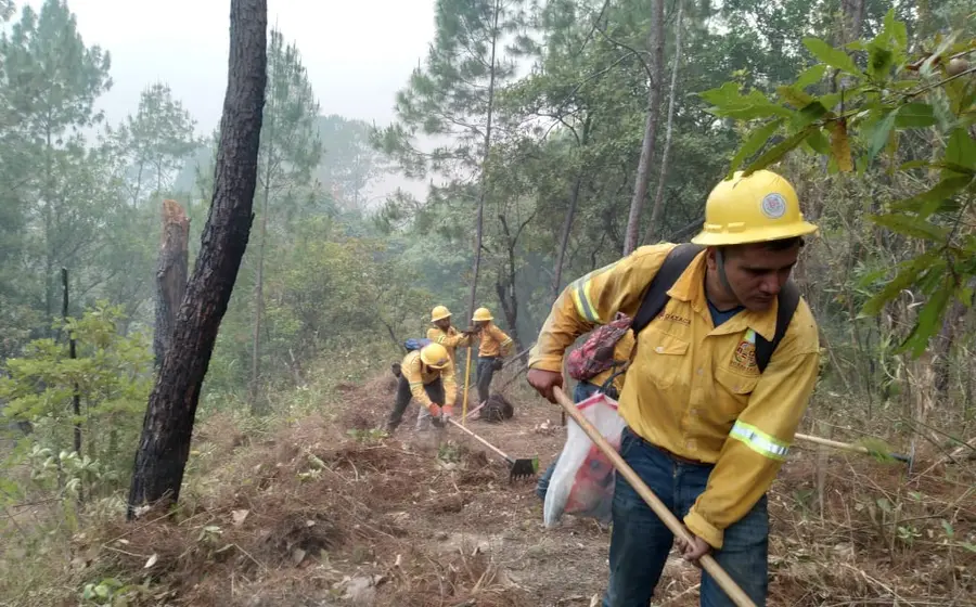 brigada_oficial_de_combatientes